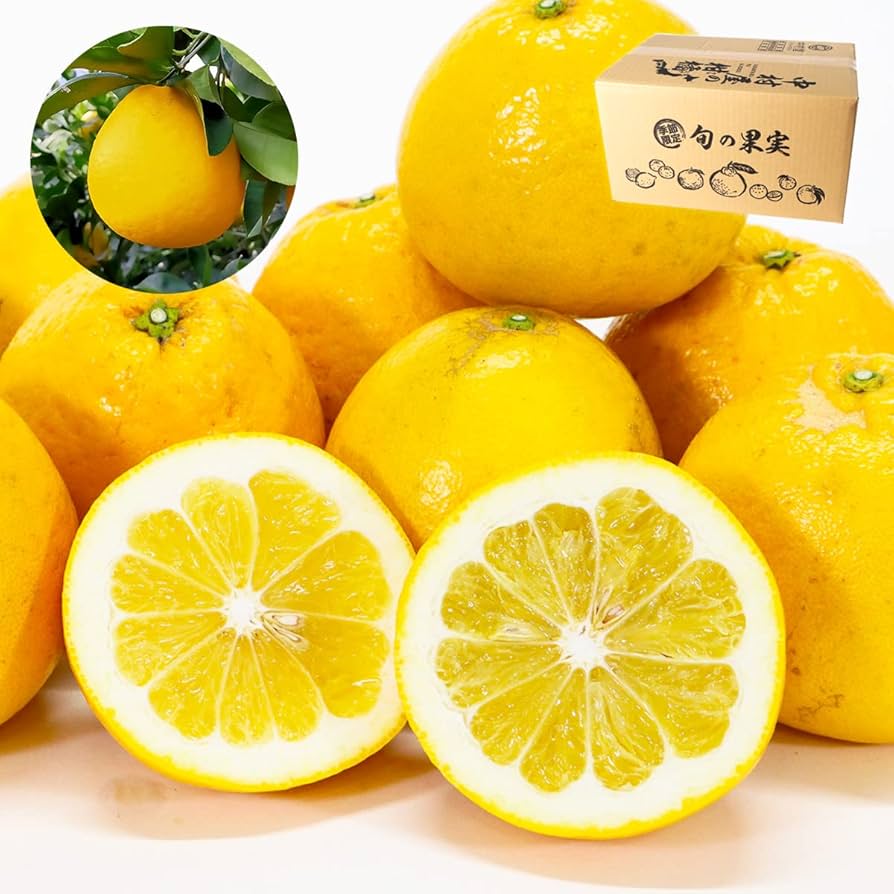Amazon.co.jp: 河内晩柑 みかん 訳あり 熊本県産 7kg 和製